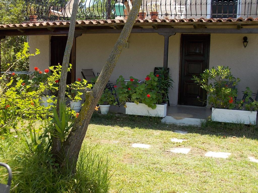 Yiannis Studios Tsilivi  Extérieur photo